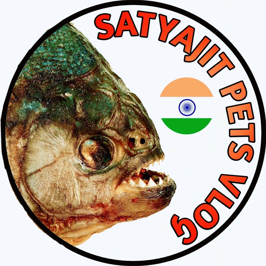 SATYAJIT Pets Vlog