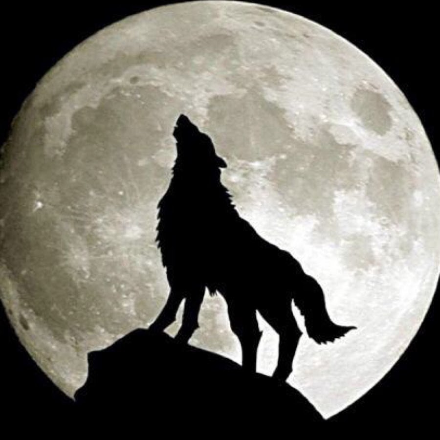 Lone Wolf Full Albumsâ„¢ Avatar del canal de YouTube