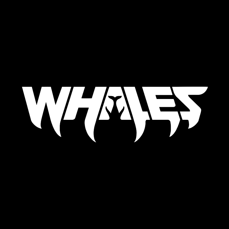 WHALES YouTube channel avatar