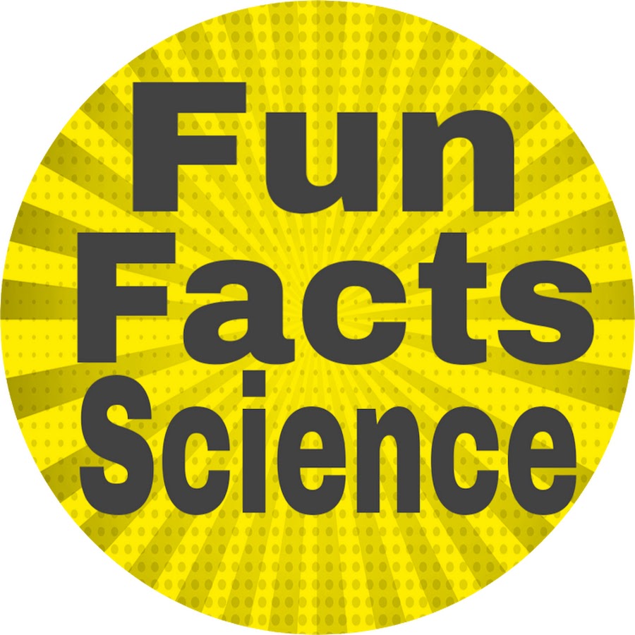 FUN FACTS SCIENCE YouTube channel avatar