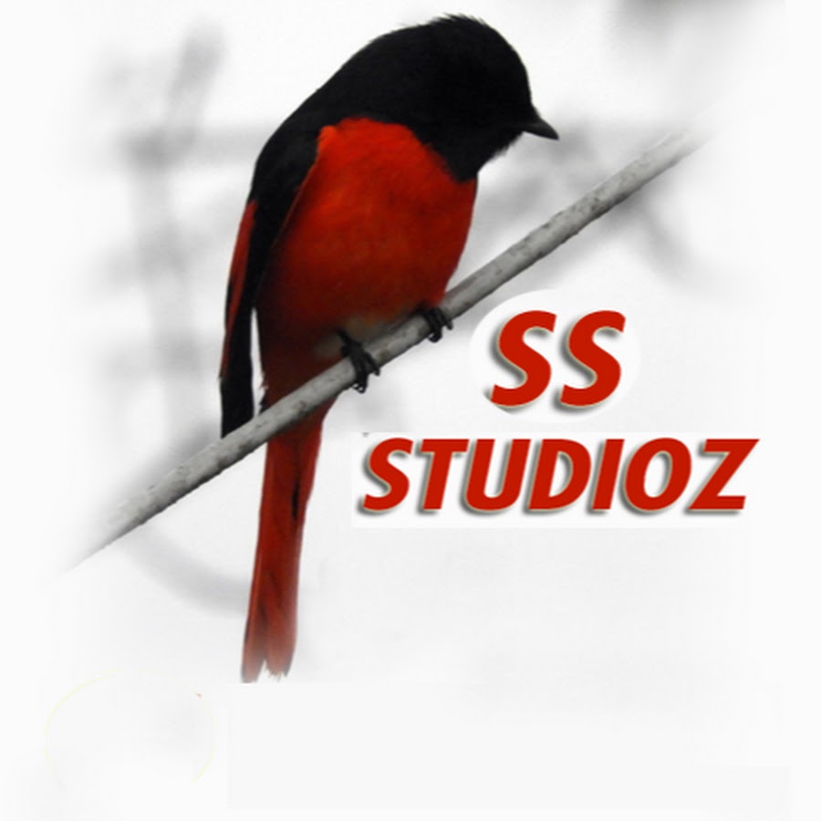 SS STUDIO YouTube channel avatar