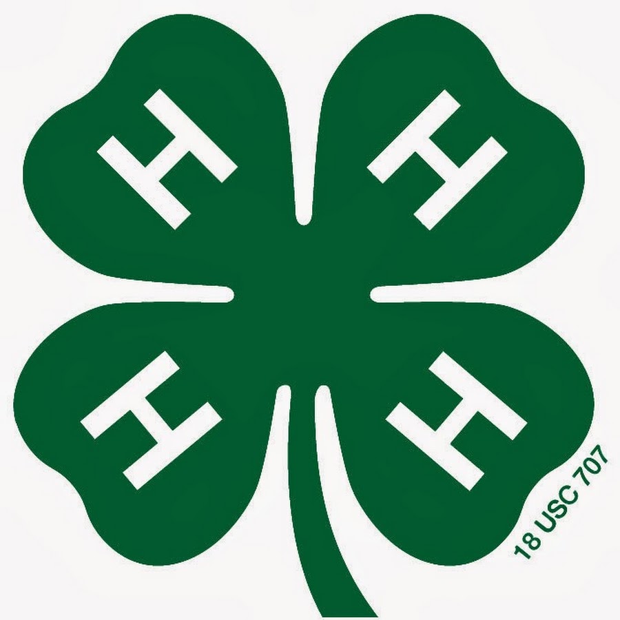 The Michigan 4-H Film Fest Avatar canale YouTube 