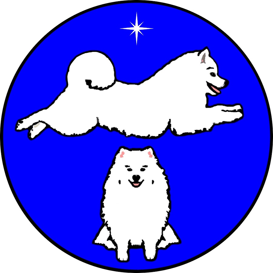 Atka the AMAZING Eskie YouTube channel avatar