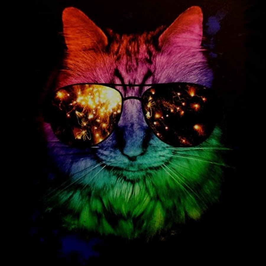 KittyRainbowFace YouTube channel avatar