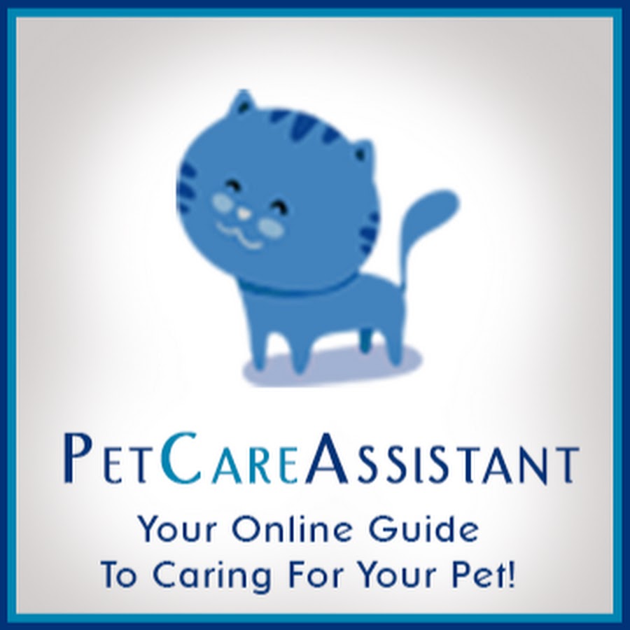 Pet Care Assistant Avatar canale YouTube 