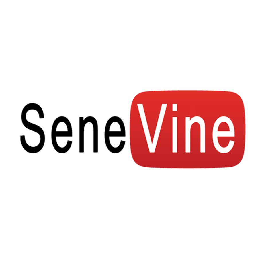 SeneVine YouTube kanalı avatarı