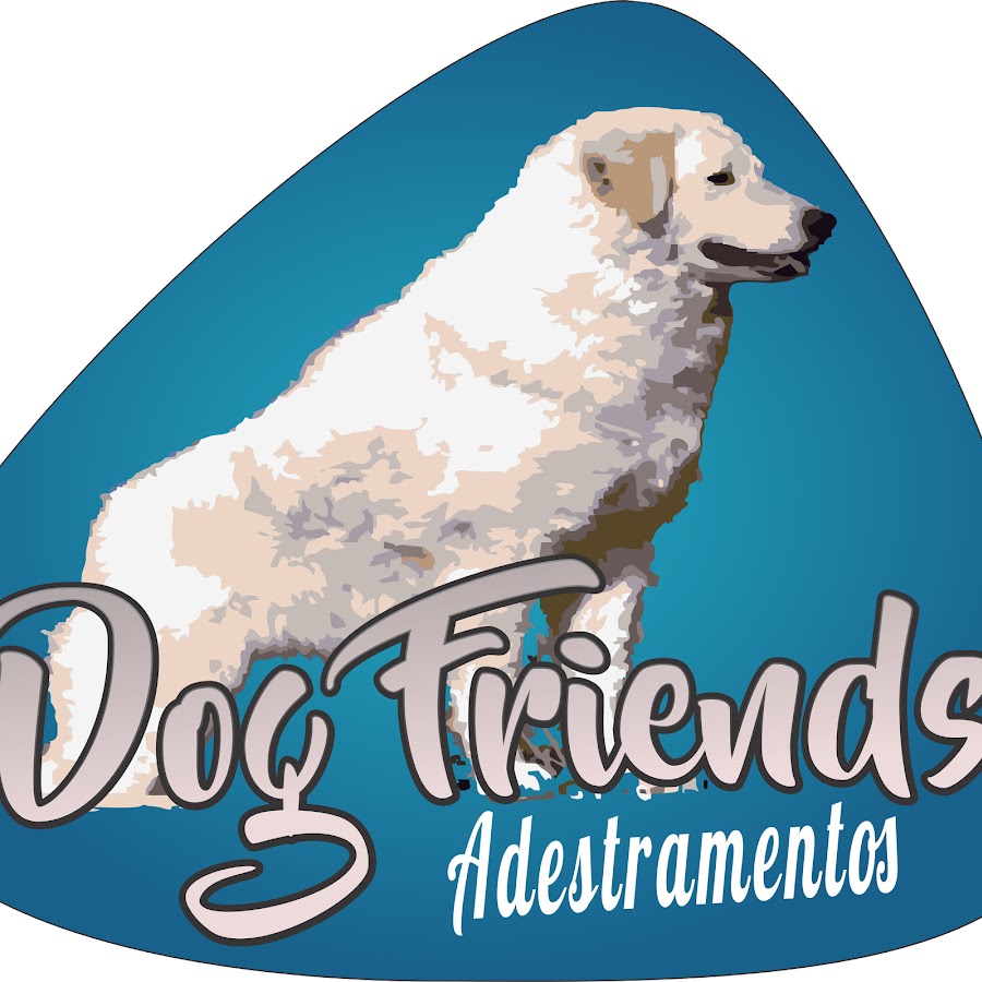 Dog Friends Adestramentos YouTube channel avatar
