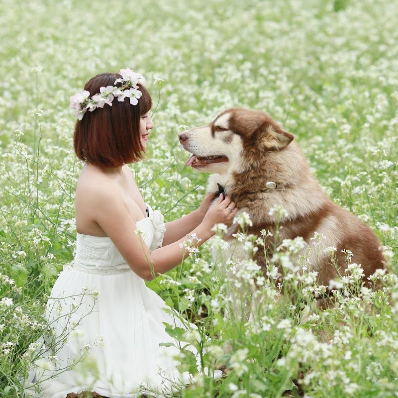 Mật Pet Family - 網紅的藏寶箱 