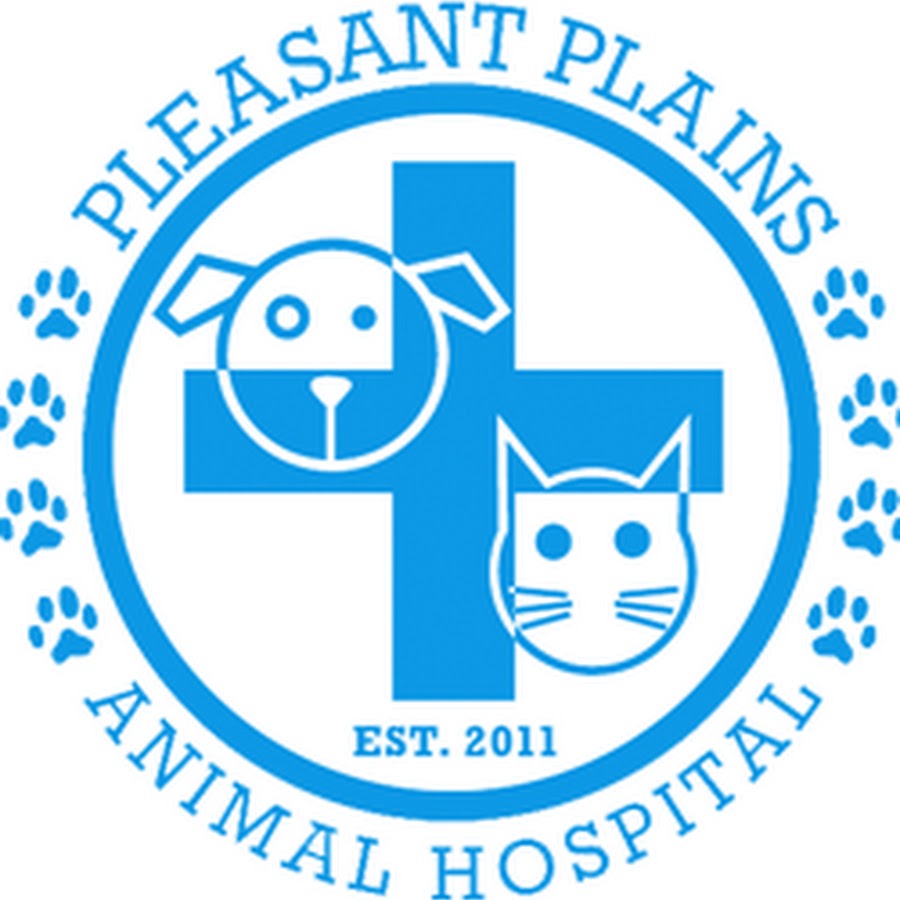 Pleasant Plains Animal Hospital Avatar del canal de YouTube
