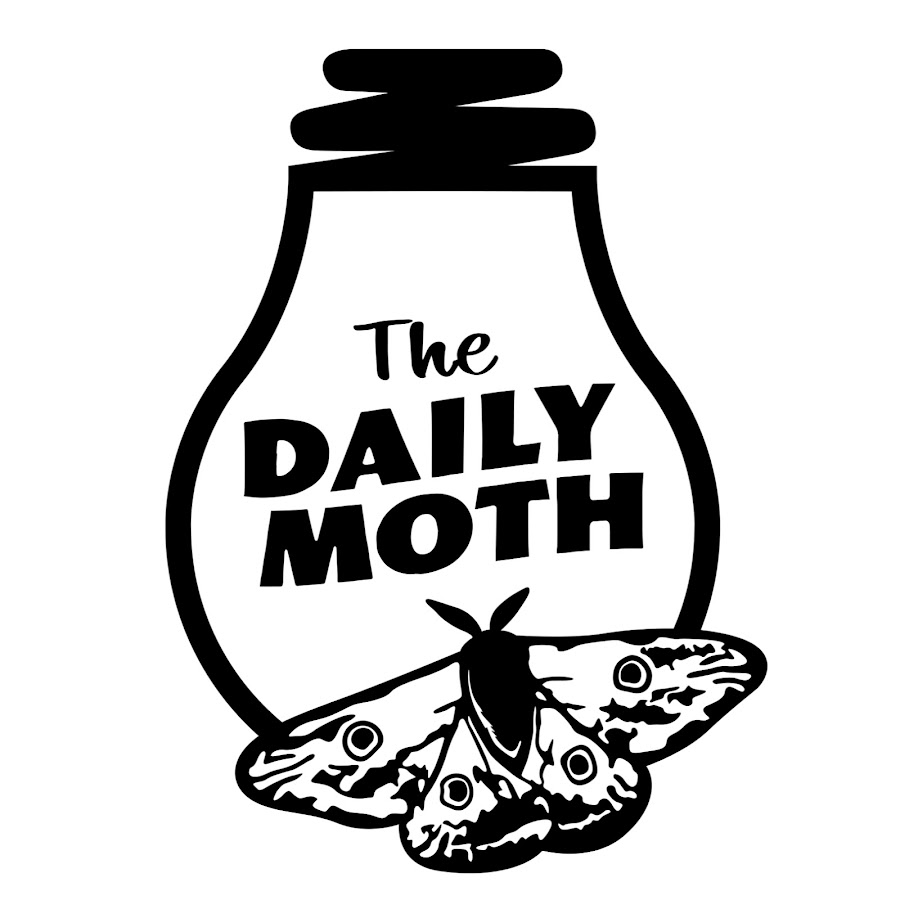 The Daily Moth YouTube 频道头像