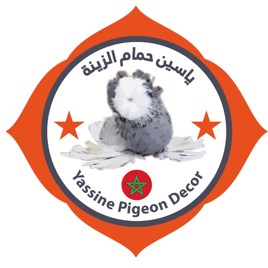 Yassine Pigeon decor ÙŠØ§Ø³ÙŠÙ† Ø­Ù…Ø§Ù… Ø§Ù„Ø²ÙŠÙ†Ø© Avatar channel YouTube 