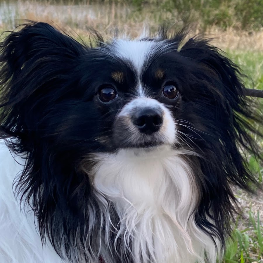 中野和生 Youtube