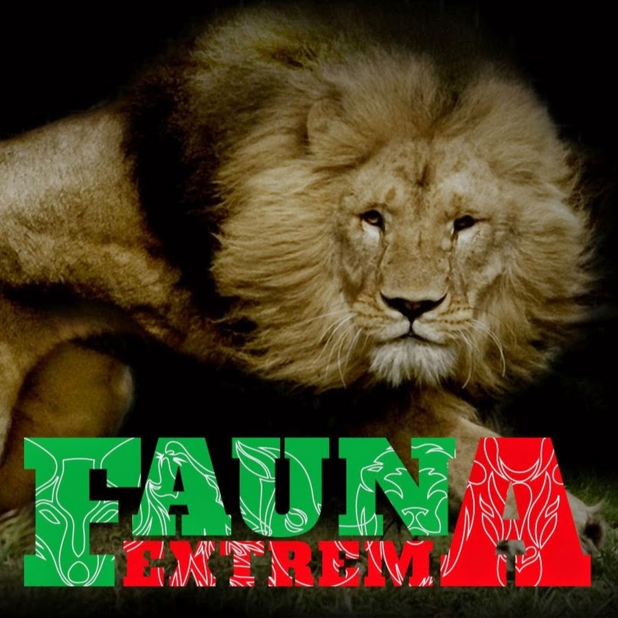 Fauna Extrema YouTube kanalı avatarı