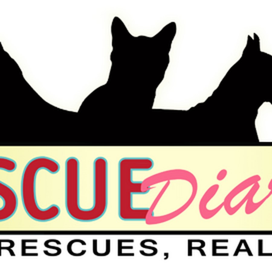 RescueDiaries Avatar de canal de YouTube