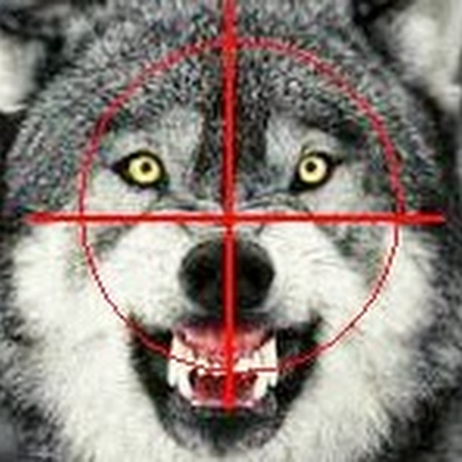 non au loup facebook Avatar channel YouTube 
