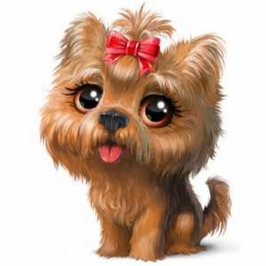 Yorkies Care YouTube channel avatar