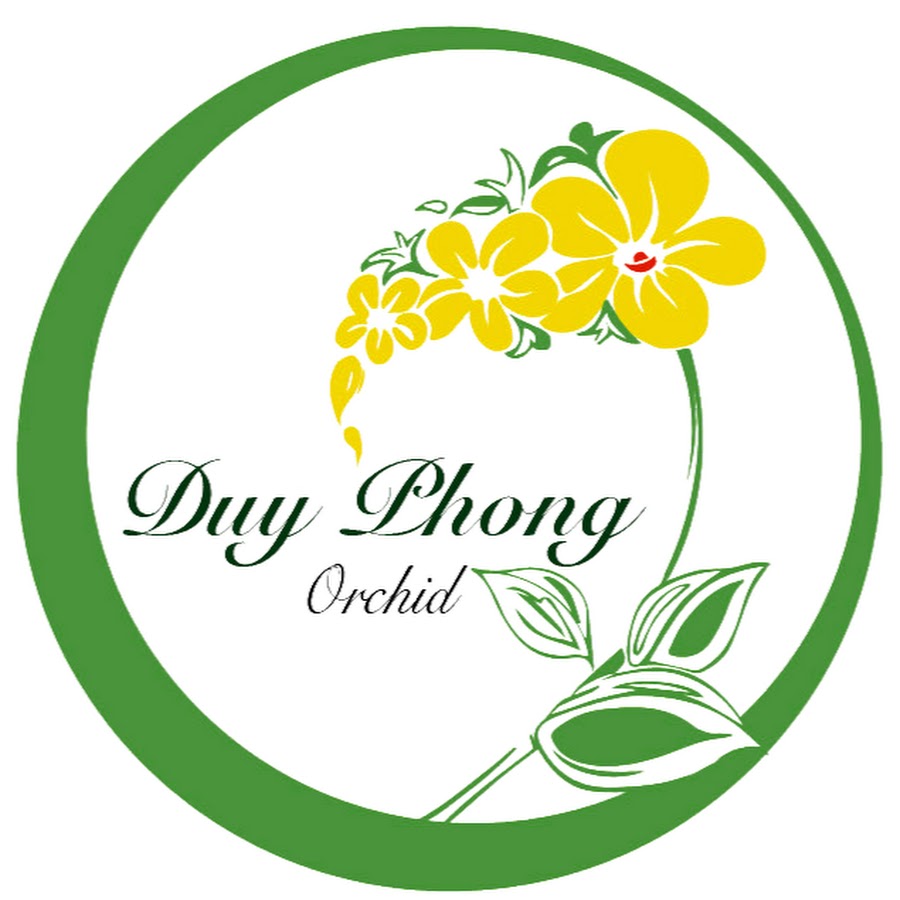 DUY PHONG YouTube channel avatar