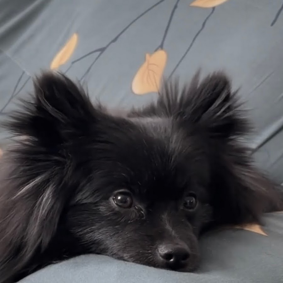 新妻恵美子 Youtube