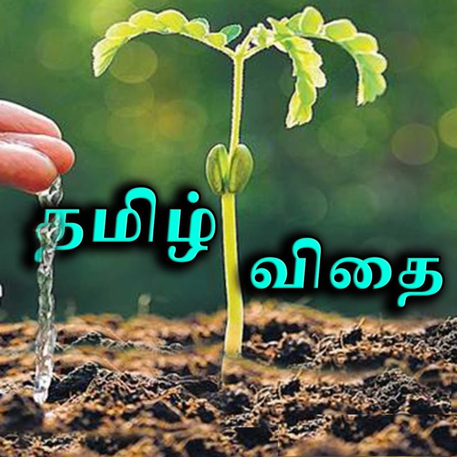 Tamil Seed YouTube 频道头像