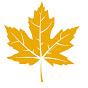 Canada Files YouTube Profile Photo