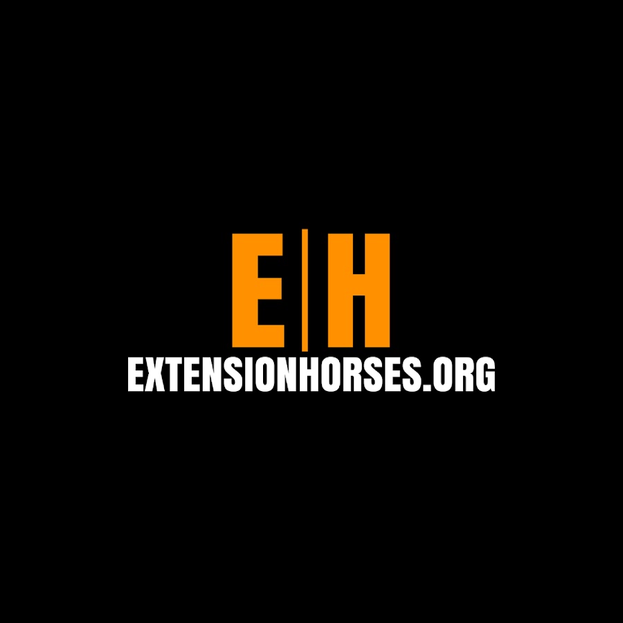 ExtensionHorses