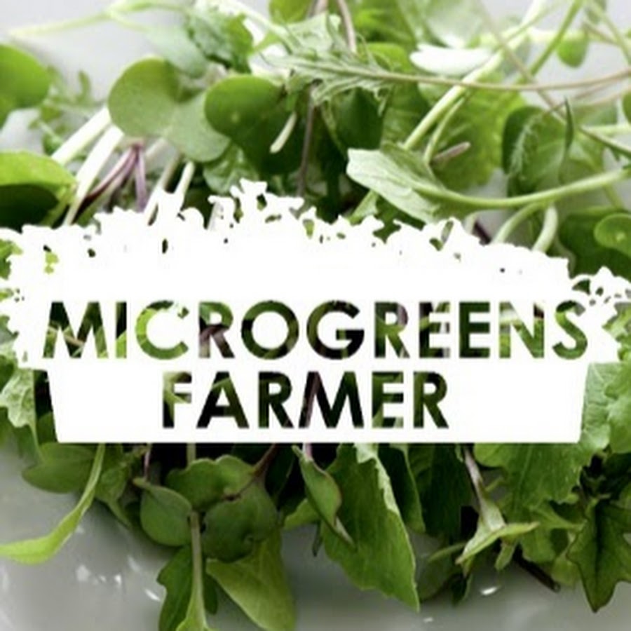 Microgreens Farmer Avatar de chaîne YouTube