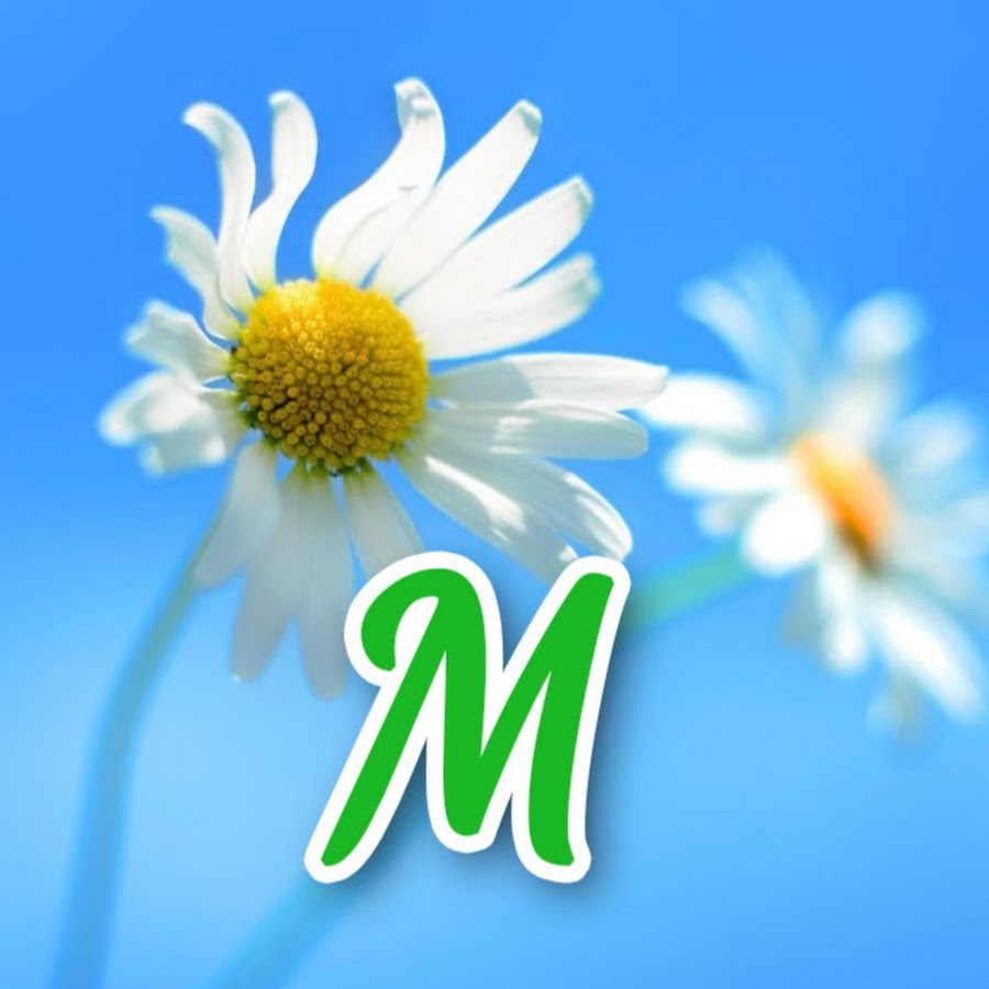 Menshov TV YouTube channel avatar