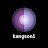 kangson1