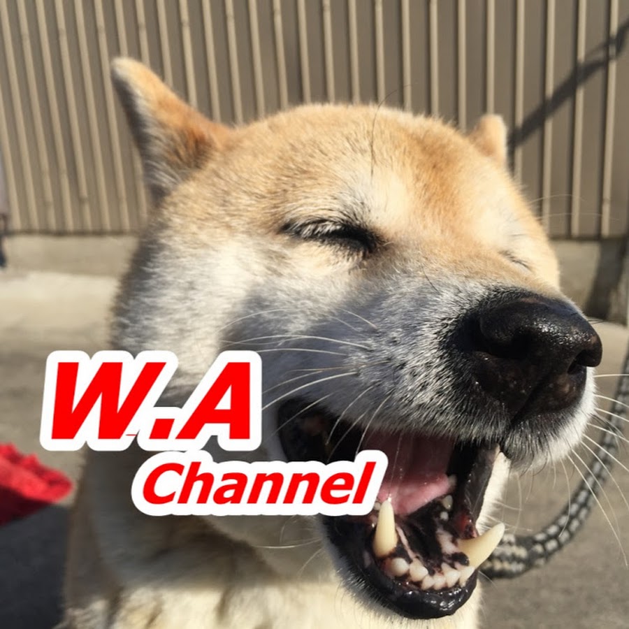 W.A. Channel YouTube kanalı avatarı