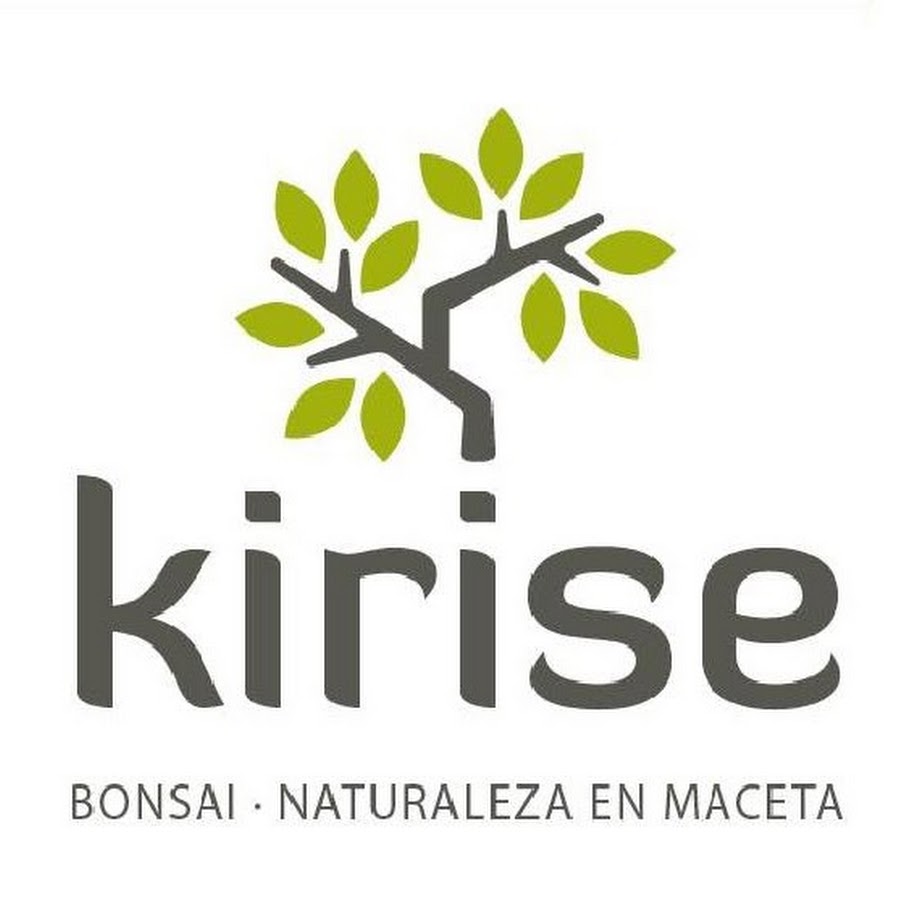 Kirise Bonsai YouTube channel avatar