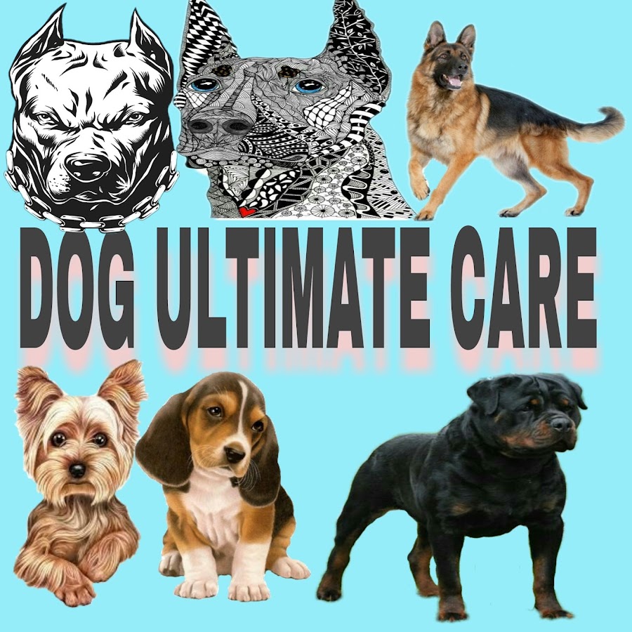Dog Ultimate Care