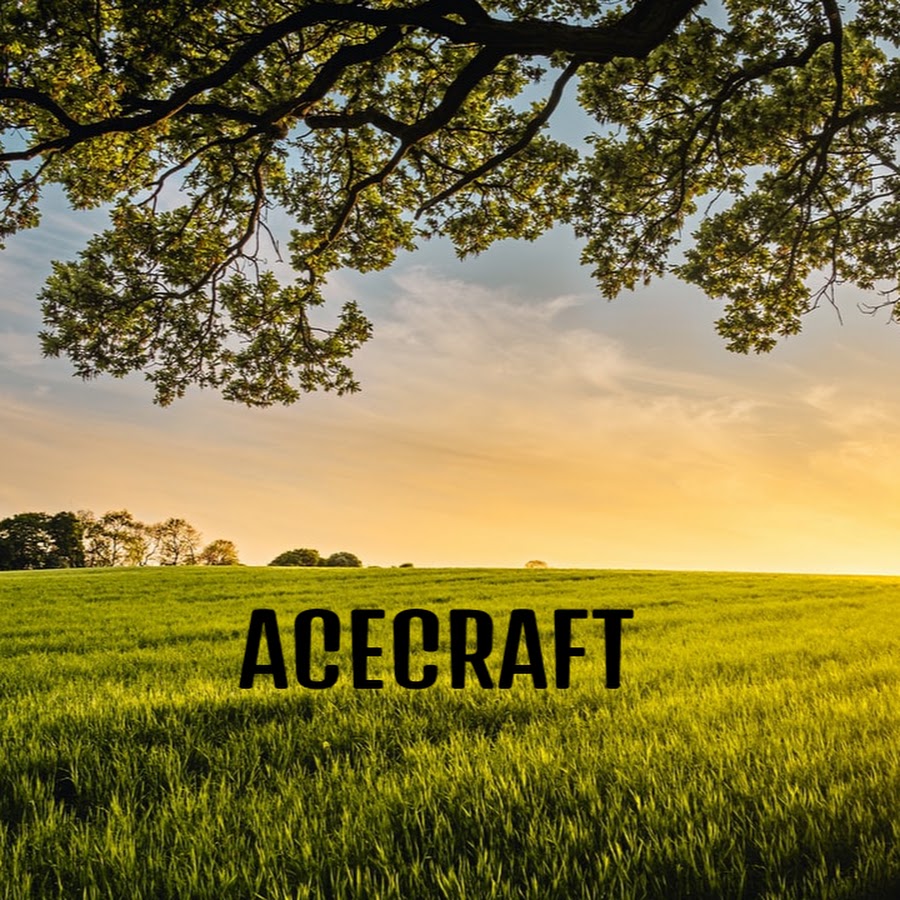 AceCraft رمز قناة اليوتيوب