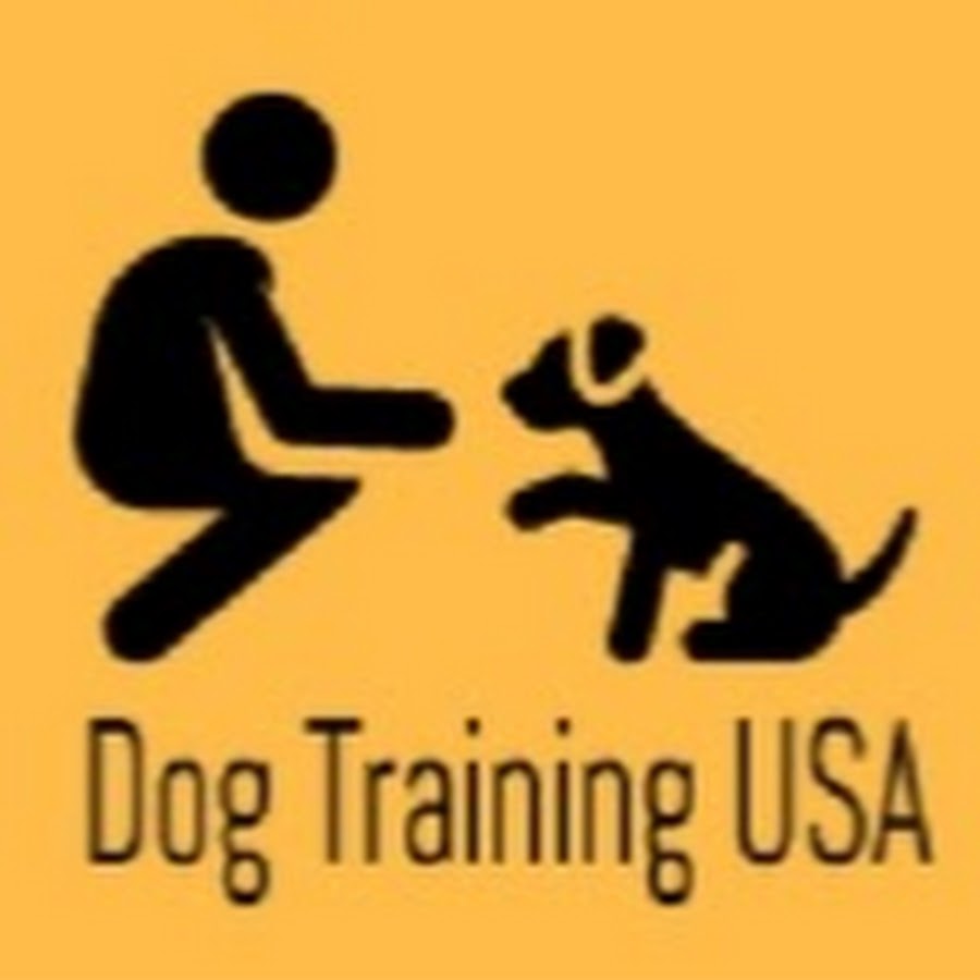 Dog Training USA YouTube channel avatar