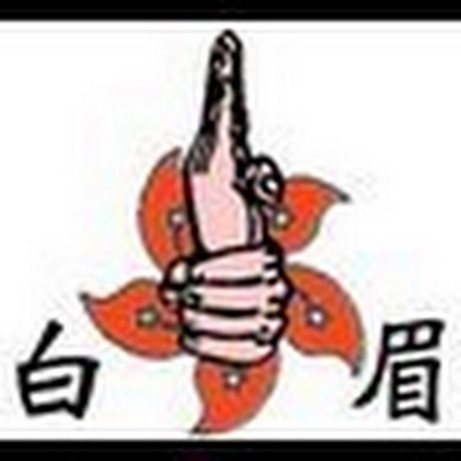 baimeiwudao YouTube channel avatar