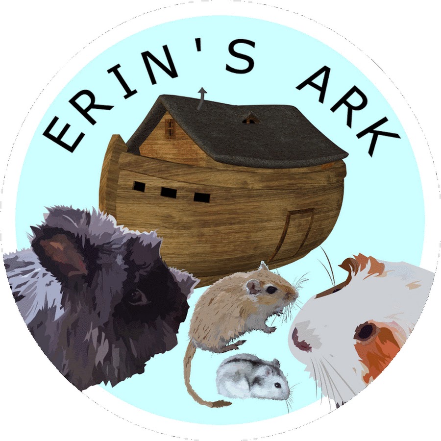Erin's Ark Vlogs رمز قناة اليوتيوب