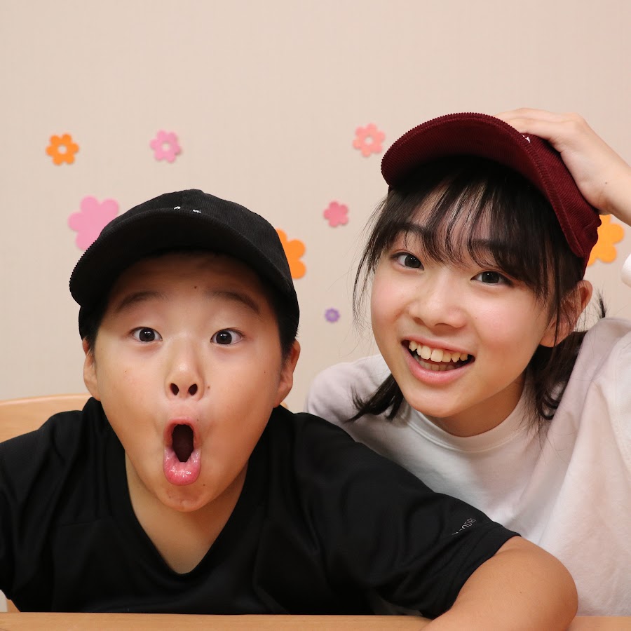 Ann Ryoのサブチャン Youtube Stats Channel Analytics Hypeauditor