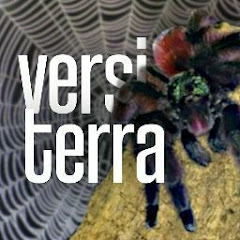 Versi Terra