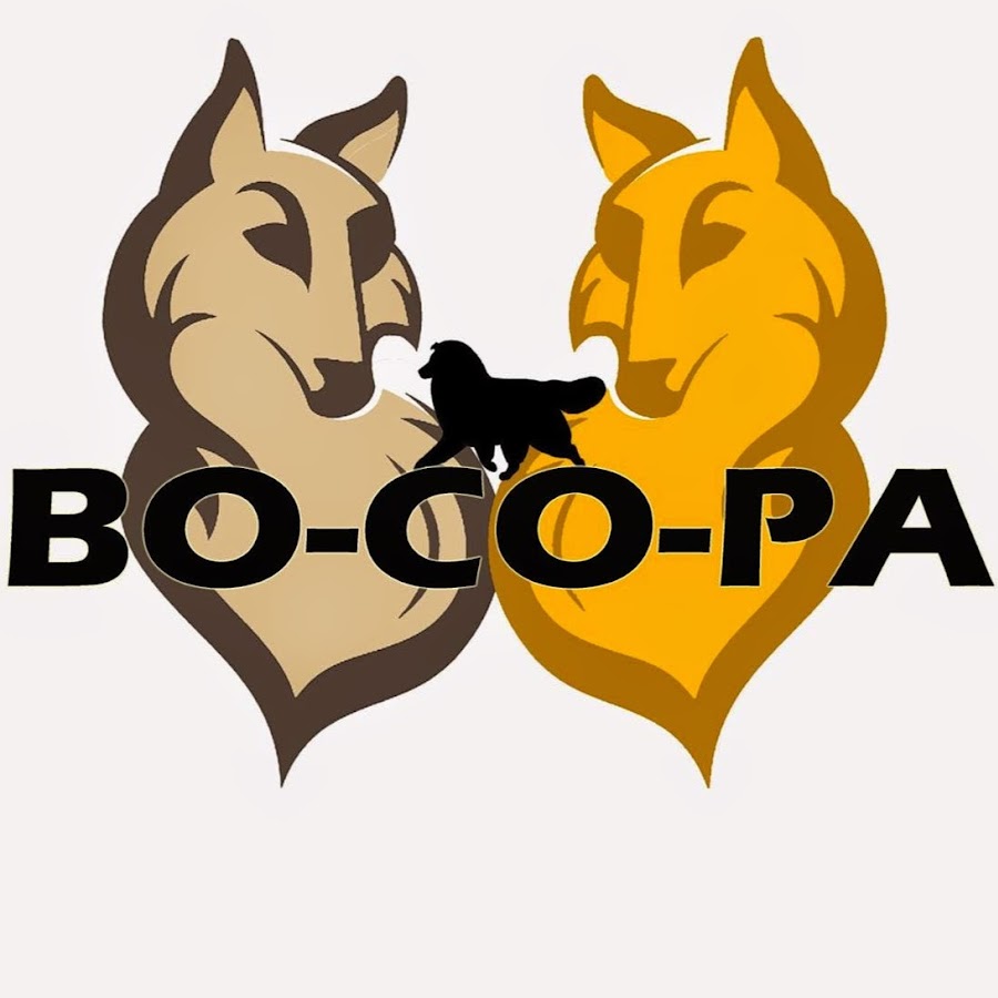 Bo-Co-Pa Kennel Avatar canale YouTube 