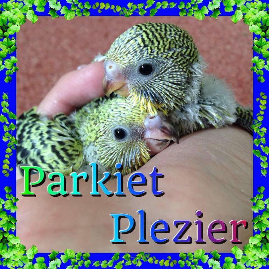 Parkiet Plezier YouTube kanalı avatarı