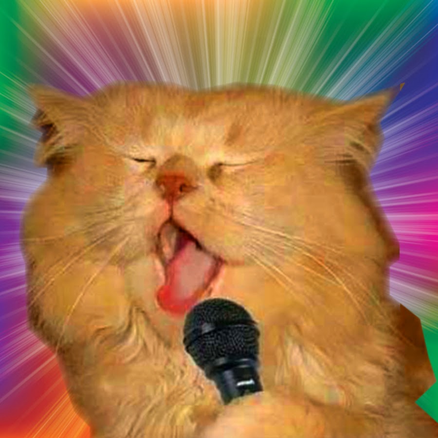 Squeal Cat رمز قناة اليوتيوب