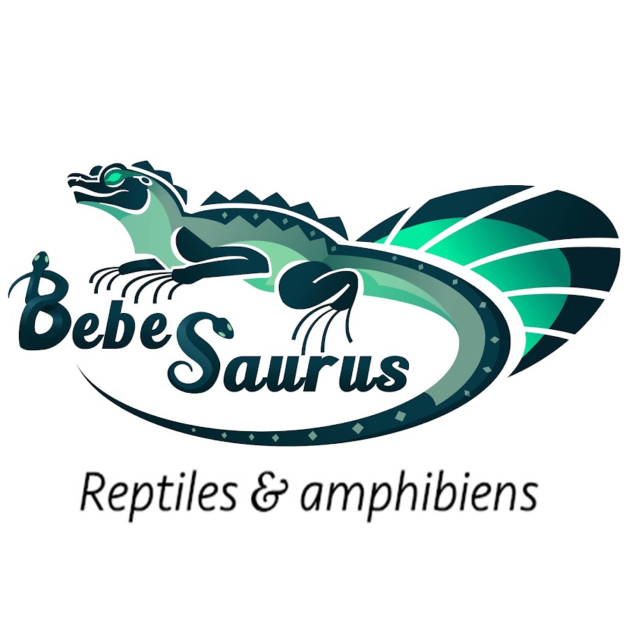 Bebesaurus यूट्यूब चैनल अवतार