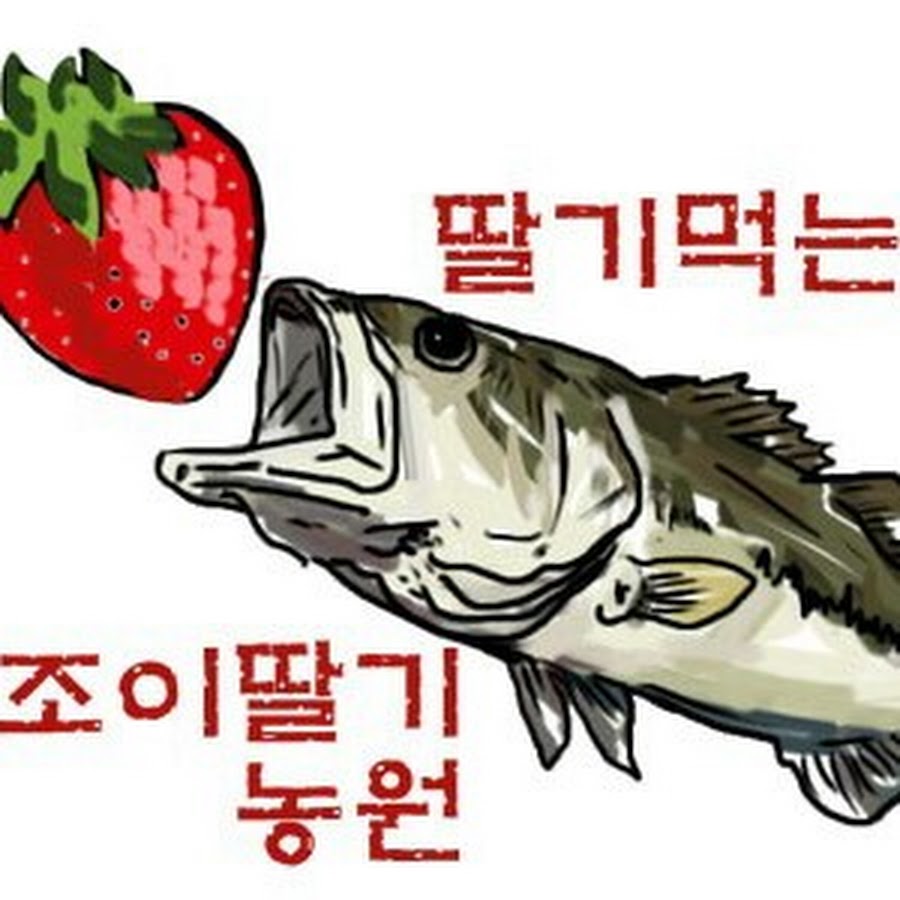 jodongchoul YouTube channel avatar