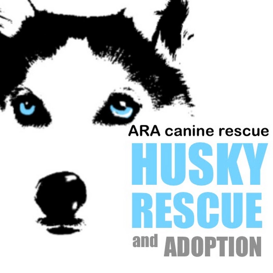 Alleys Rescued Angels, Siberian Husky Rescue, LA Avatar de chaîne YouTube