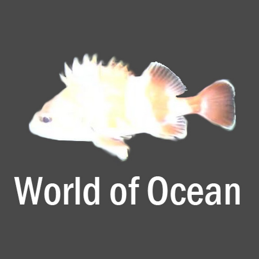 WorldofOcean