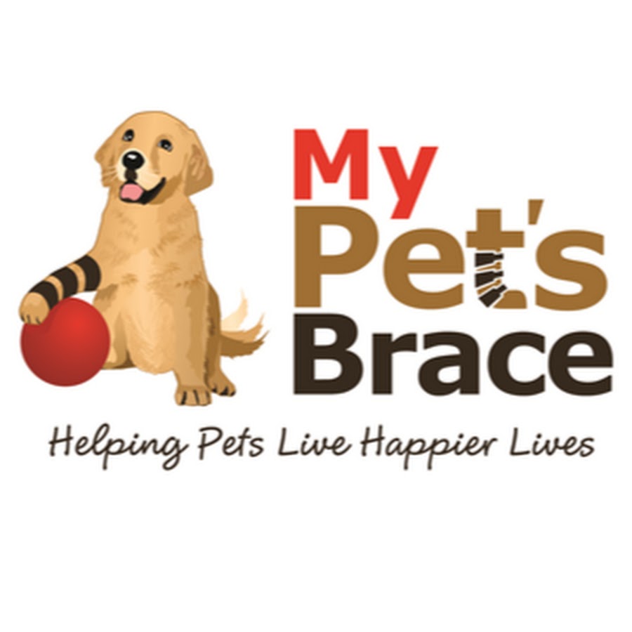 mypetsbrace YouTube channel avatar