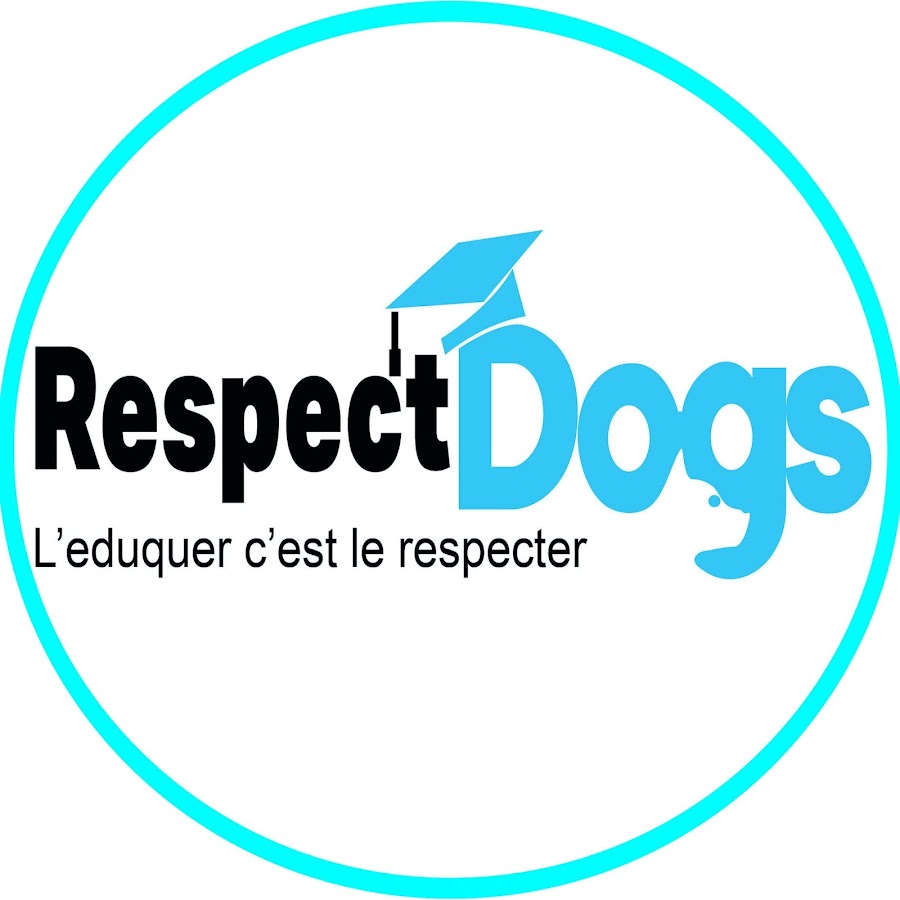 RESPECTDOGS YouTube channel avatar