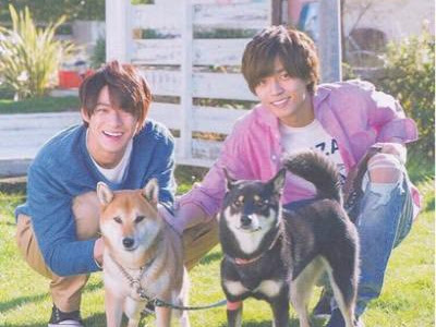 コンプリート！ 楓奈 149387-楓奈 意味