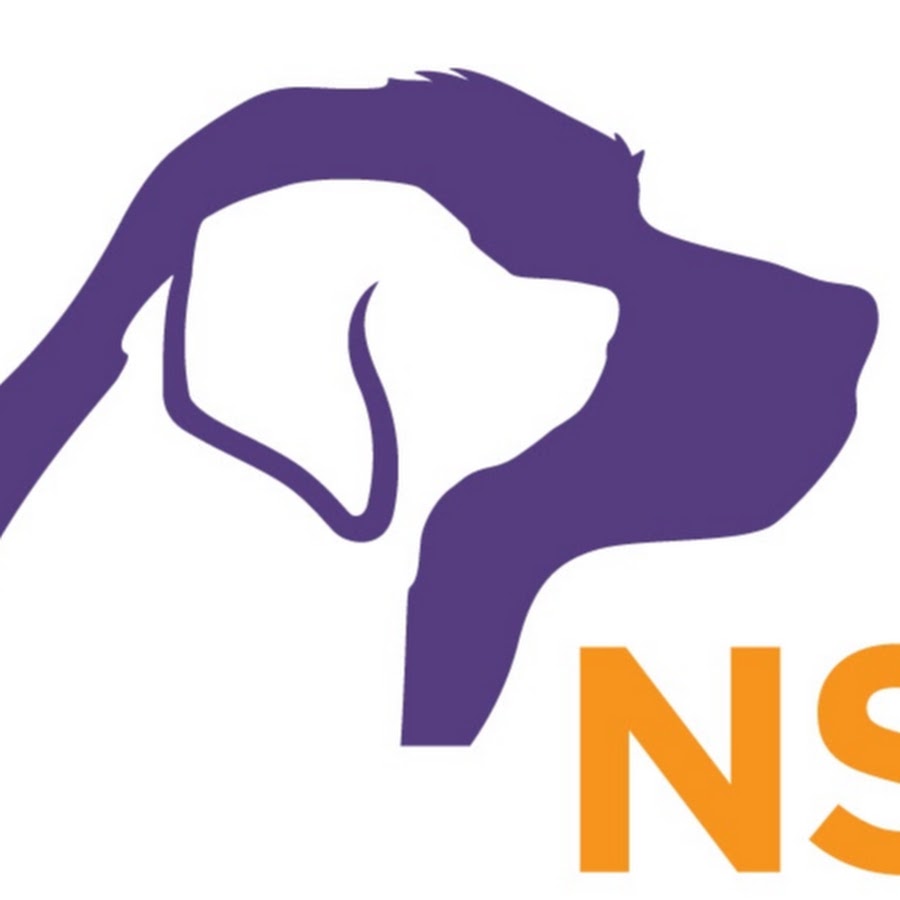 National Service Dogs رمز قناة اليوتيوب