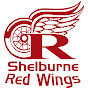shelredwings - @shelredwings YouTube Profile Photo