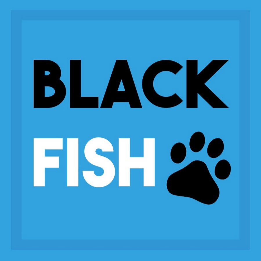 BlackFish YouTube channel avatar